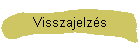 Visszajelzs