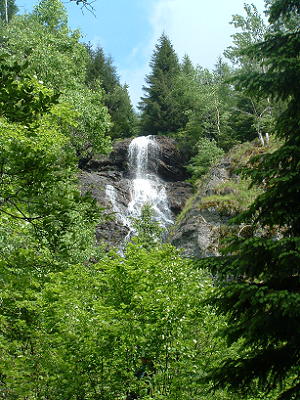 Hotvolé (Miss)