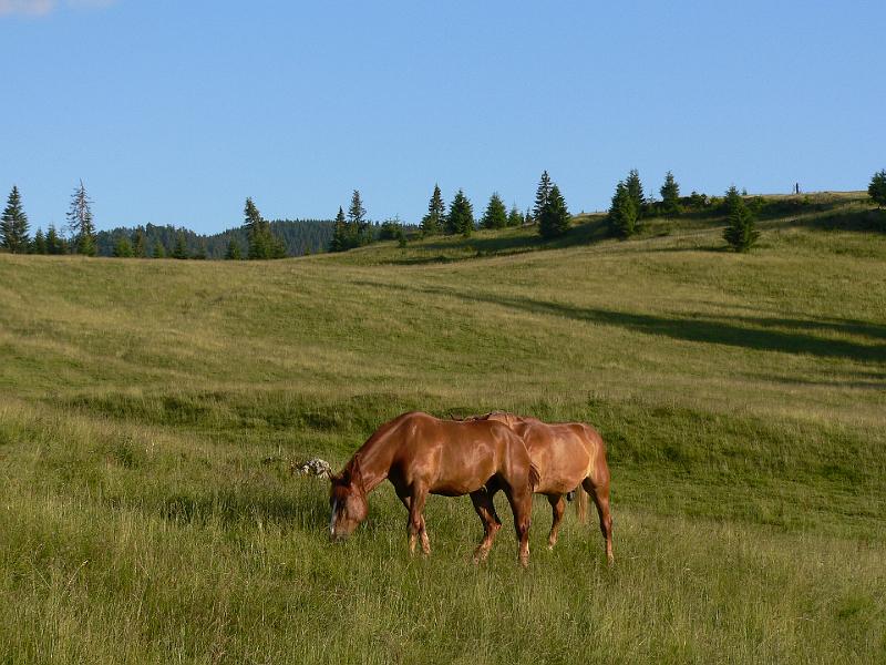P1120322