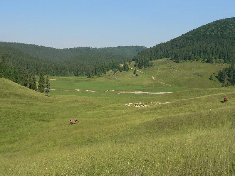 P1120358
