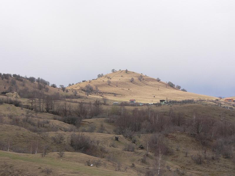 P1100002