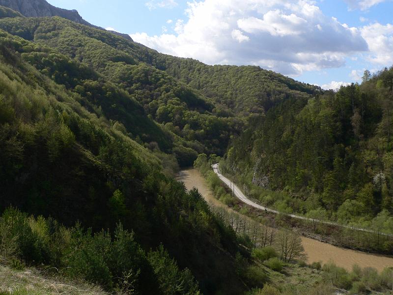 P1100160.JPG