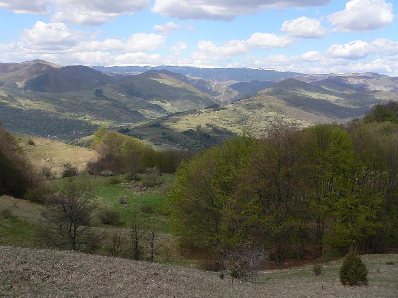 P1100170.JPG
