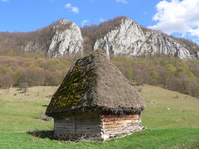 P1100233.JPG