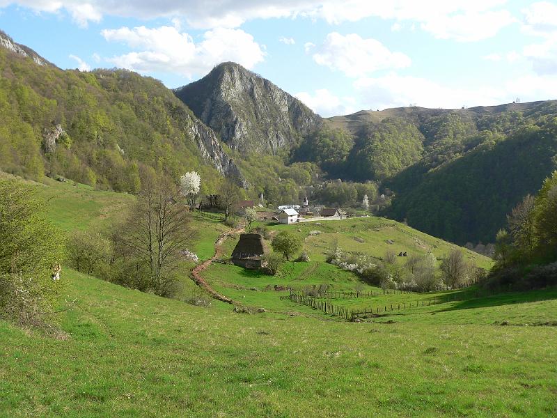P1100250.JPG