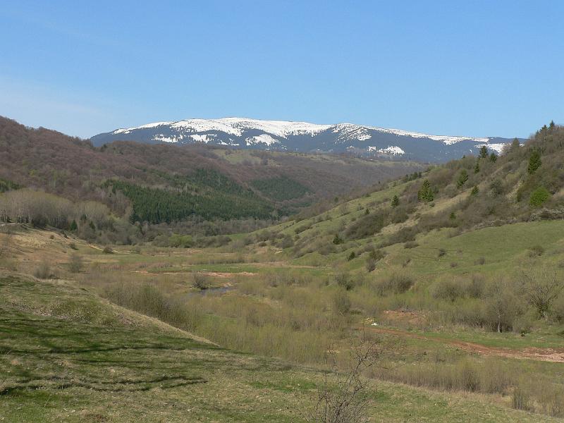 P1100298.JPG