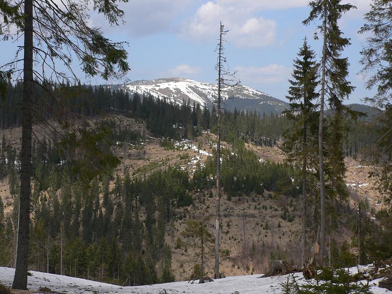 P1100335.JPG