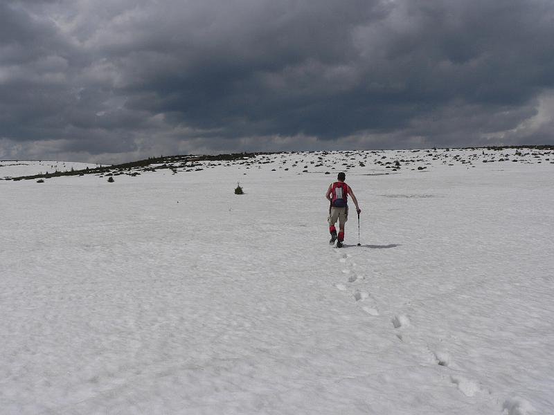 P1100355.JPG