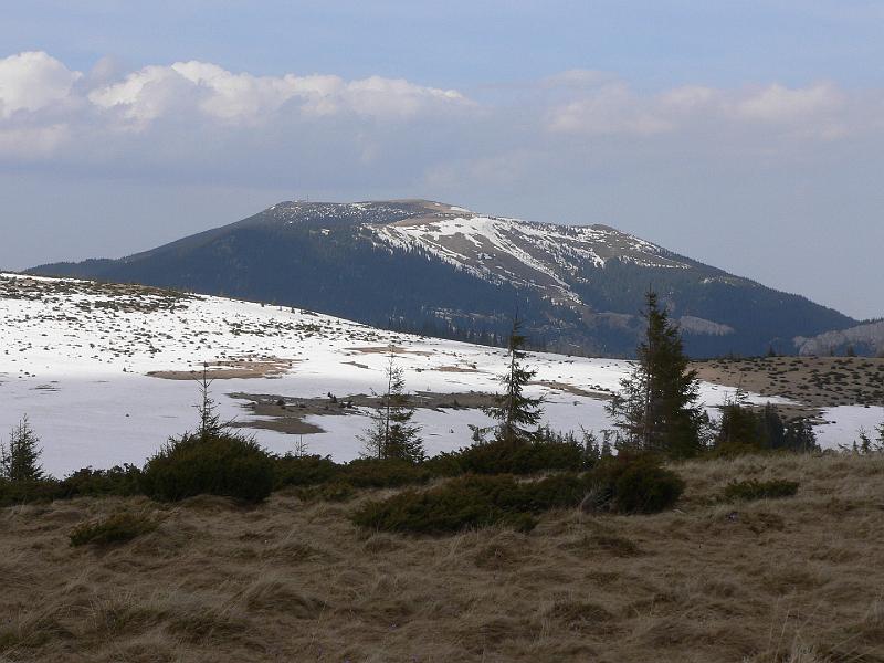 P1100374.JPG