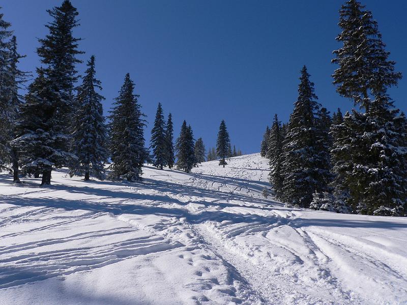 P1090565