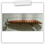 BAGLEY SPIN TAIL BANG-O-LURE 2000Ft