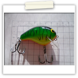 BAGLEY BALSA B II.  - FT 2200Ft