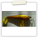 BAGLEY DB MINNOW 2000Ft