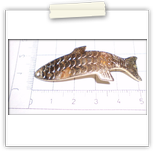 Luhr Jensen Phoebe 300Ft