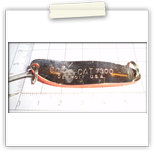 Dardevle Cop-E-Cat 7300 900Ft