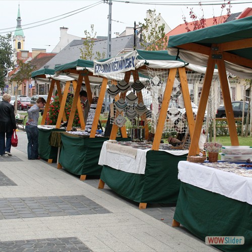 2013obuda.20