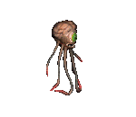 1beholder.gif - 9836 Bytes