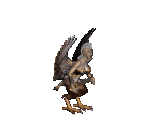 1harpyhag.gif - 10420 Bytes