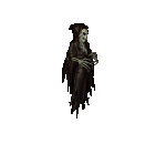 1wraith.gif - 8751 Bytes