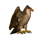 1roc.gif - 12647 Bytes