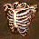 ribcage.gif - 2520 Bytes
