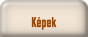 K�pek.