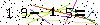 Veiligheids Code