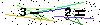 Veiligheids Code