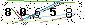 Veiligheids Code