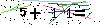 Veiligheids Code