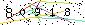 Veiligheids Code