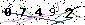 Veiligheids Code