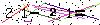 Veiligheids Code