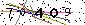 Veiligheids Code