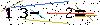 Veiligheids Code
