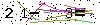 Veiligheids Code
