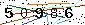 Veiligheids Code