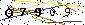 Veiligheids Code