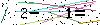 Veiligheids Code
