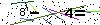 Veiligheids Code