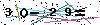 Veiligheids Code