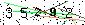Veiligheids Code