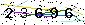 Veiligheids Code