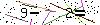 Veiligheids Code