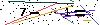 Veiligheids Code