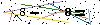 Veiligheids Code
