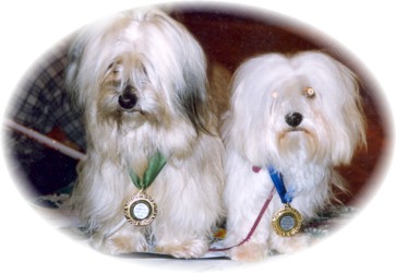 Uno &eacute;s Isidora Klubgy&otilde;ztes