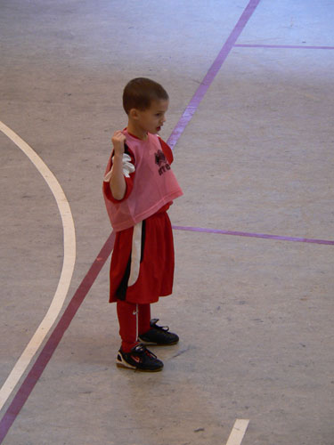 2008mik09