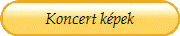 Koncert kpek