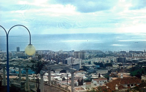 D031PTenerifelatkepe
